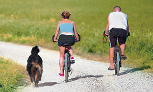 Fahrradtour mit Hund