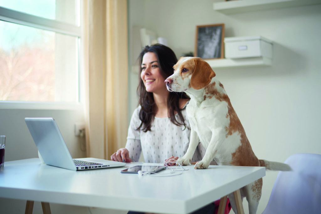 Wann ist ein Hund am Arbeitsplatz erlaubt?