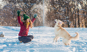 Winterspaß mit Hund